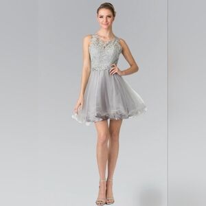 Chic Silver Lace Mini Dress